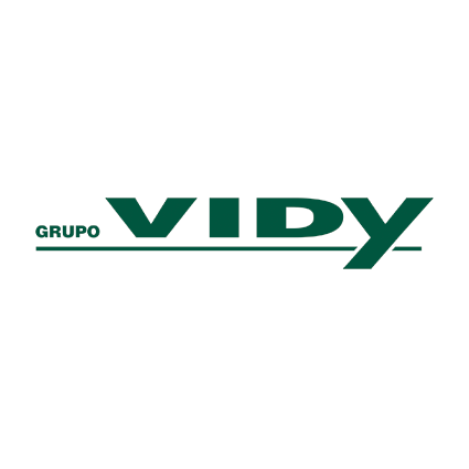 Grupo Vidy